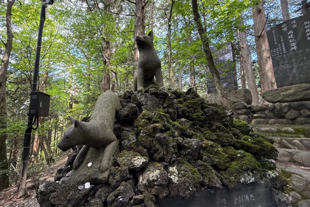 御仮屋神社を守る御眷属の狼像