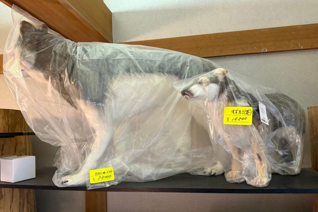 大と中サイズの狼のぬいぐるみ