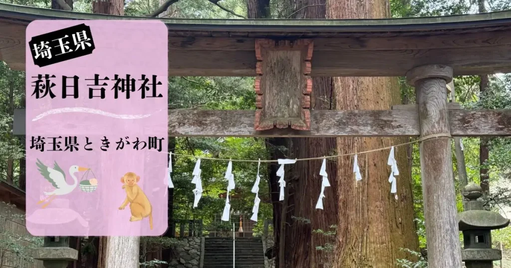 埼玉県萩日吉神社の鳥居と杉の木