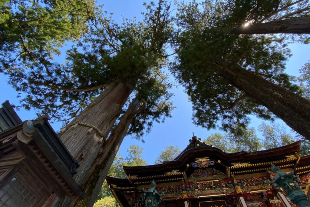 三峯神社の拝殿とそびえる御神木