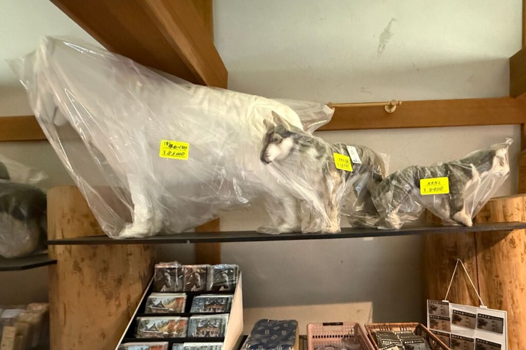 大と中サイズの狼のぬいぐるみ