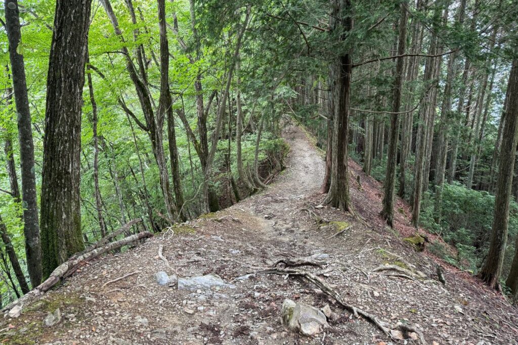 細い尾根道が続く区間