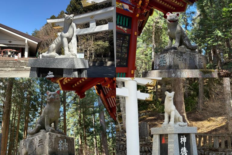 三峯神社の御眷属(狼)