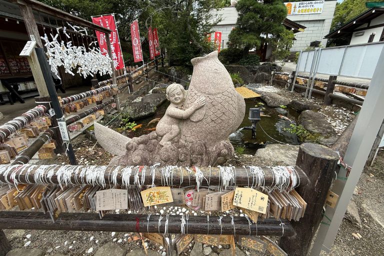 金運招福コイの池