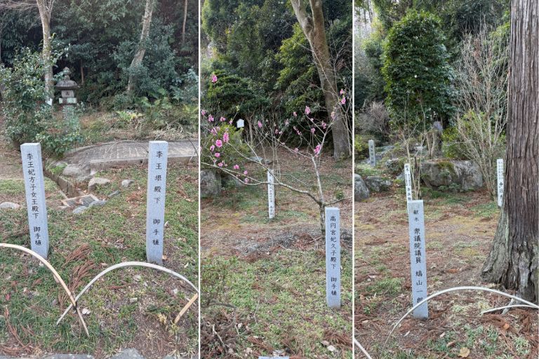 境内に並ぶ献木の石標