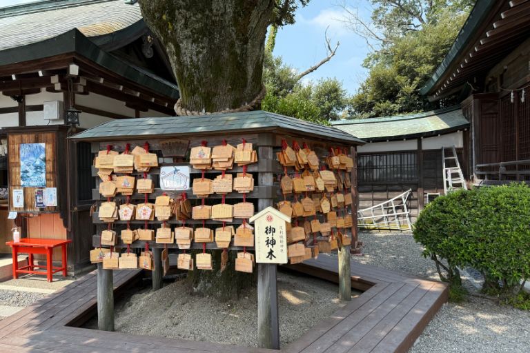 足利織姫神社 ご神木周辺に奉納された絵馬